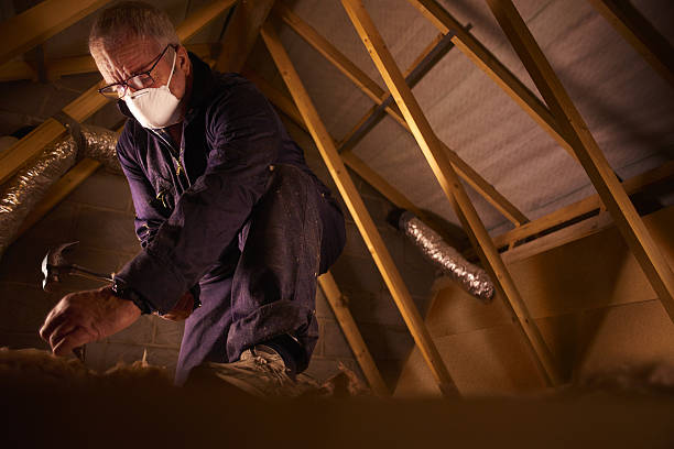 Best Insulation Installation Services in , NV
